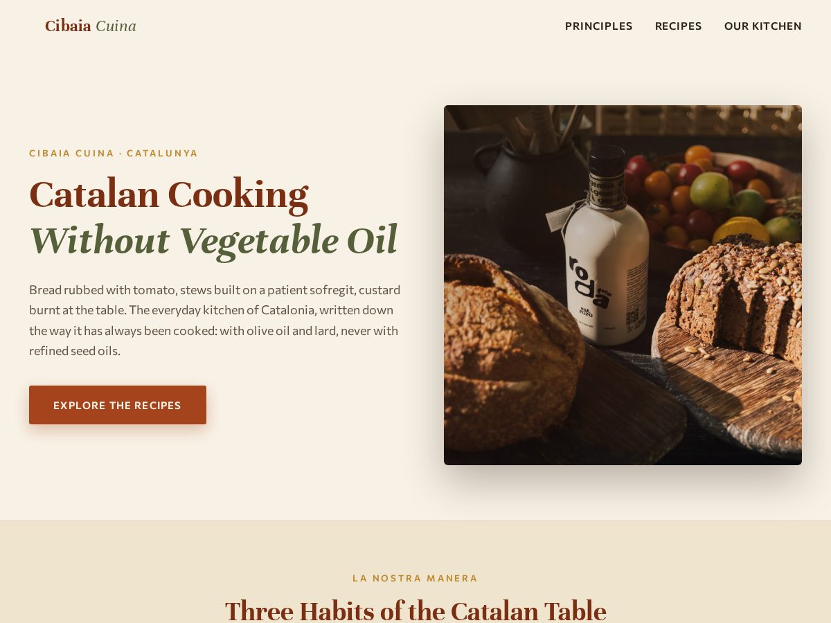 Landing-page snapshot of cibaia.com