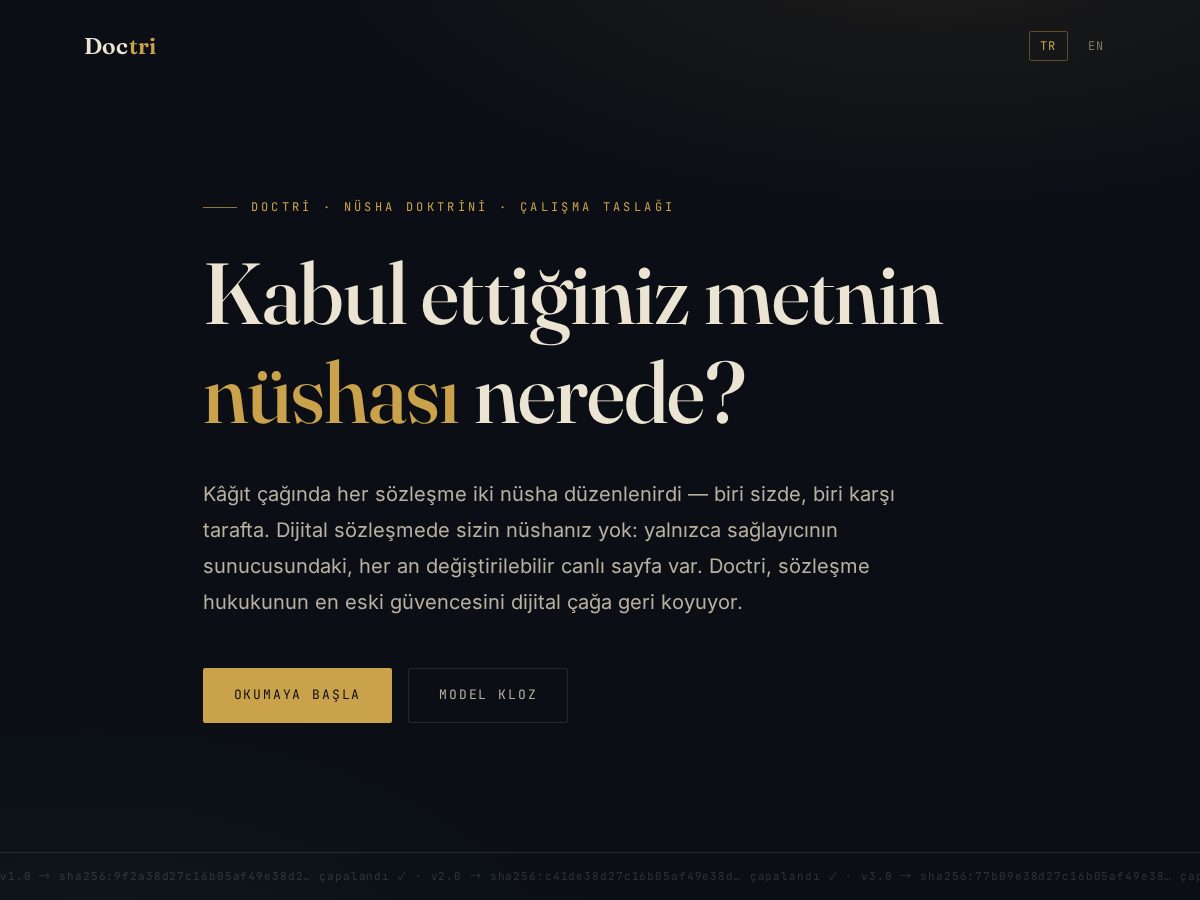 Landing-page snapshot of doctri.online