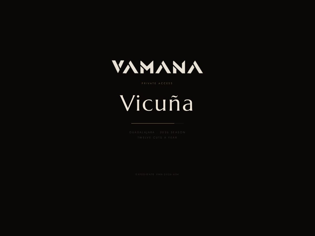 Landing-page snapshot of lanadevicuna.com