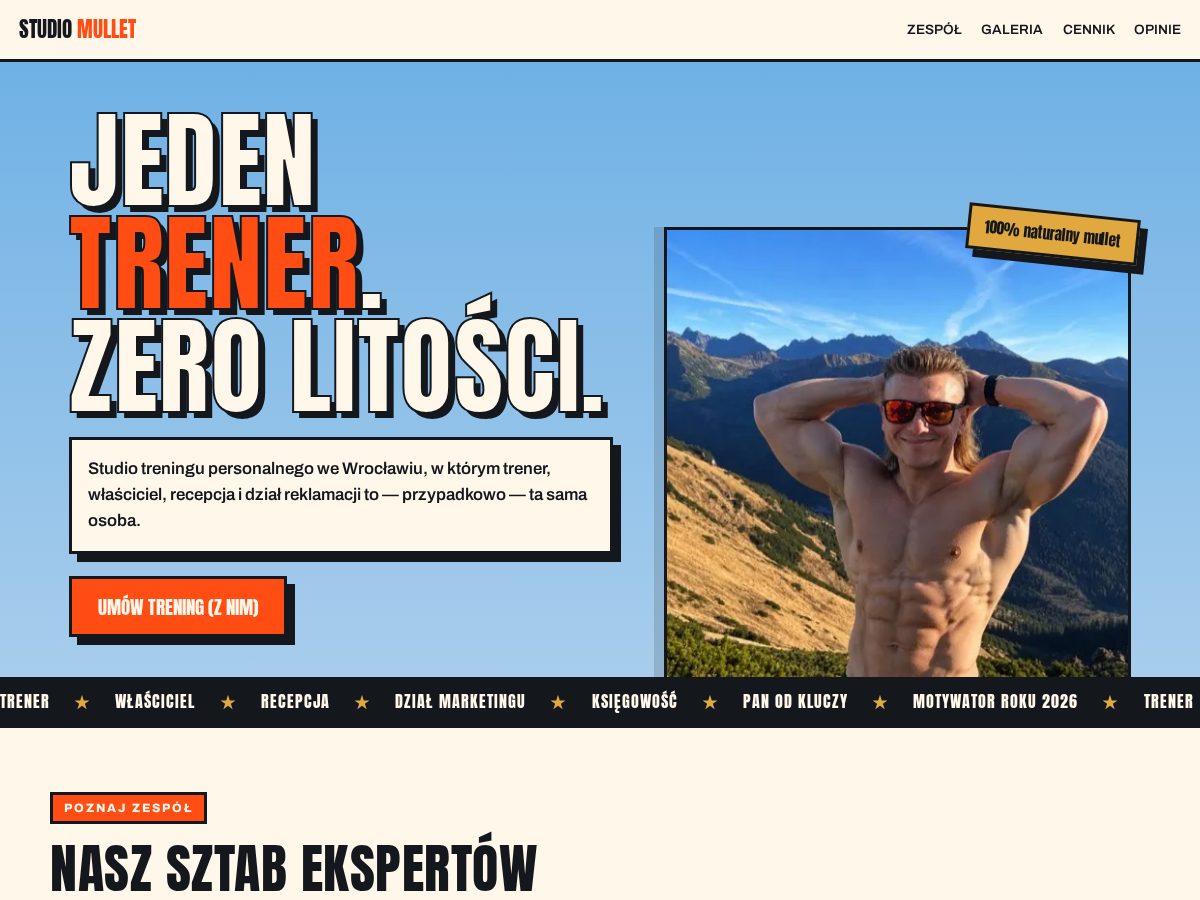 Landing-page snapshot of mulletstudio.xyz