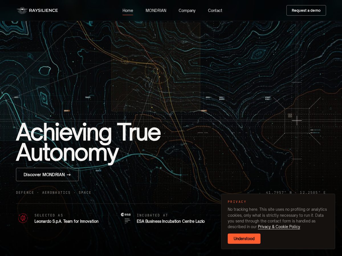 Landing-page snapshot of raysilience.com