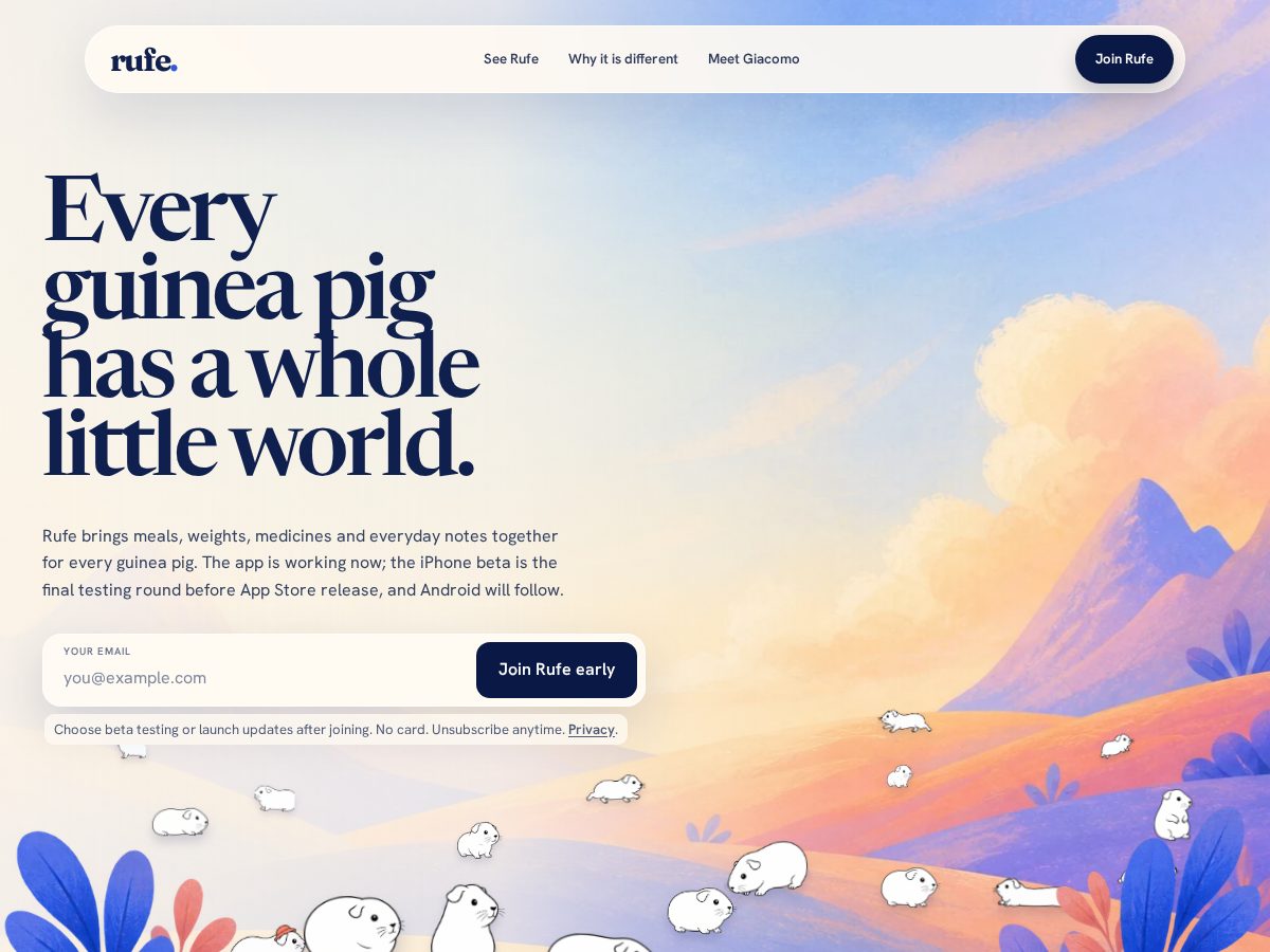 Landing-page snapshot of rufeclub.com