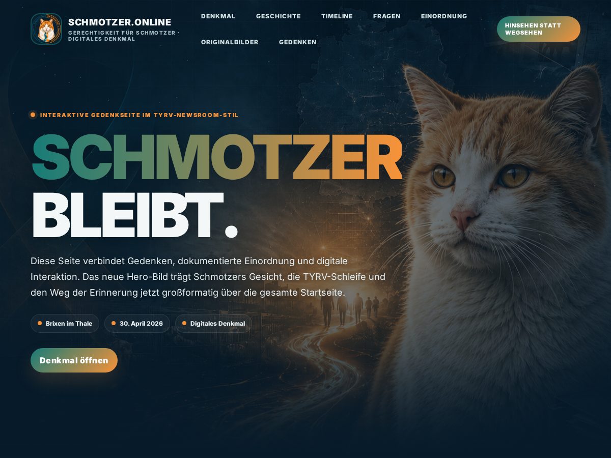 Landing-page snapshot of schmotzer.online