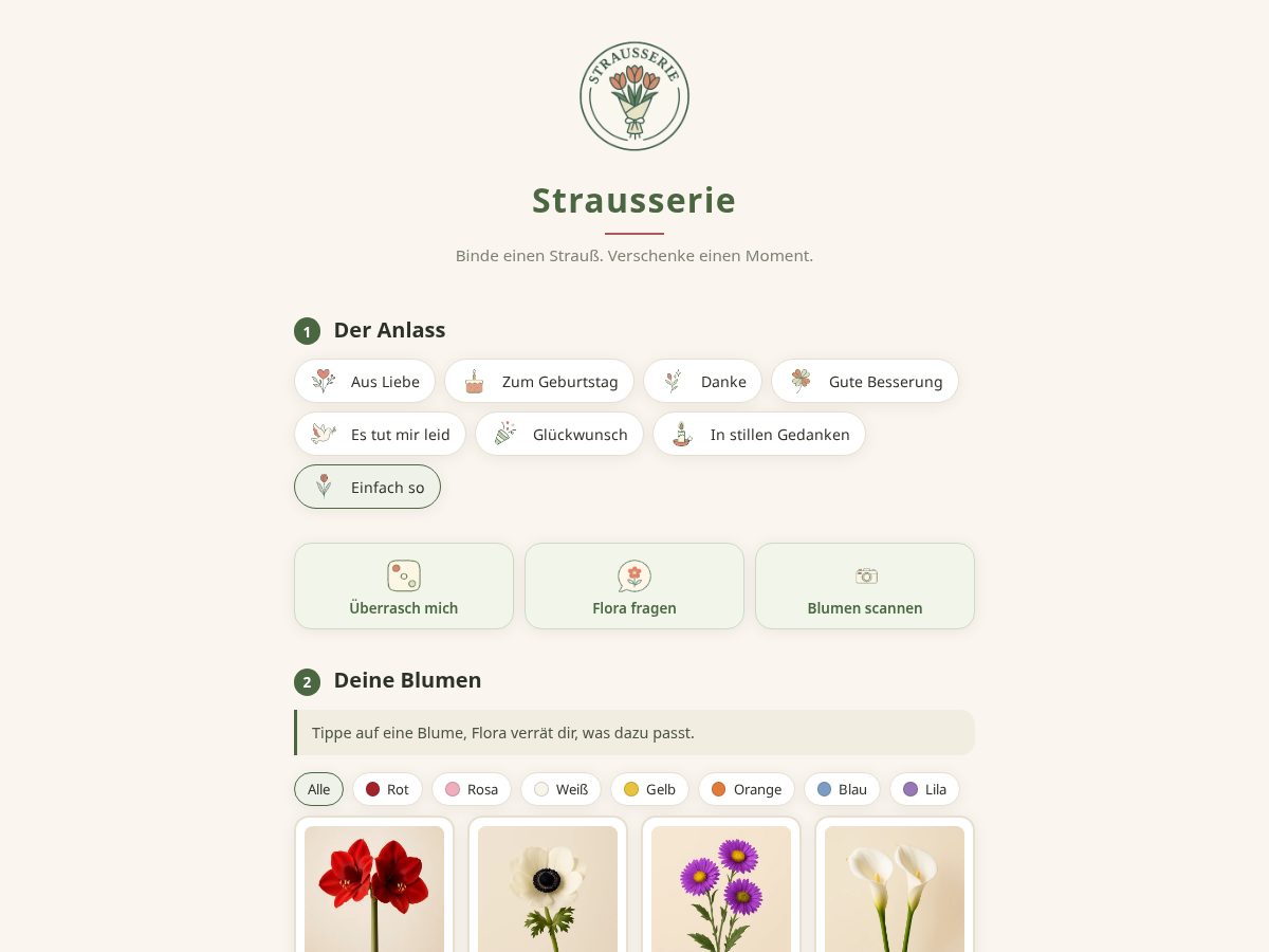 Landing-page snapshot of strausserie.com