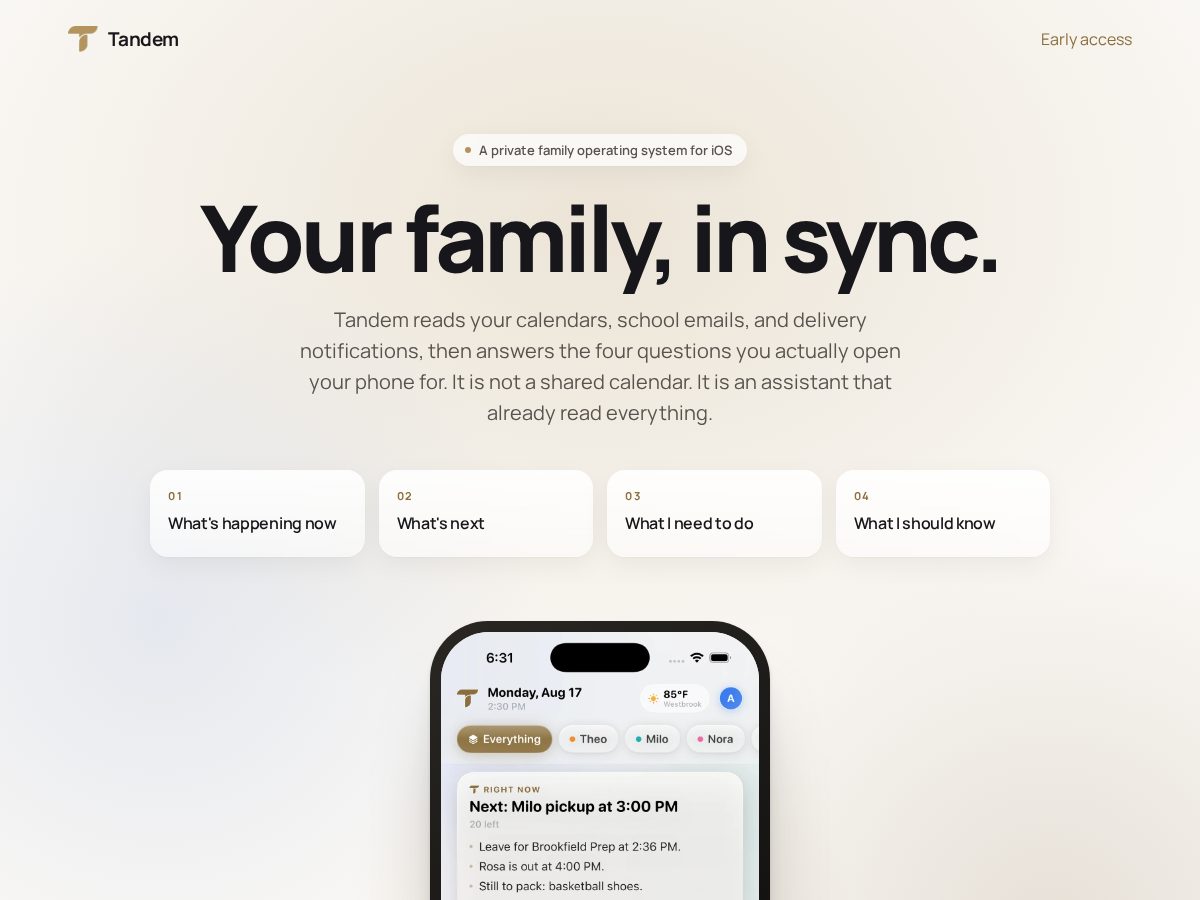 Landing-page snapshot of tandem.family
