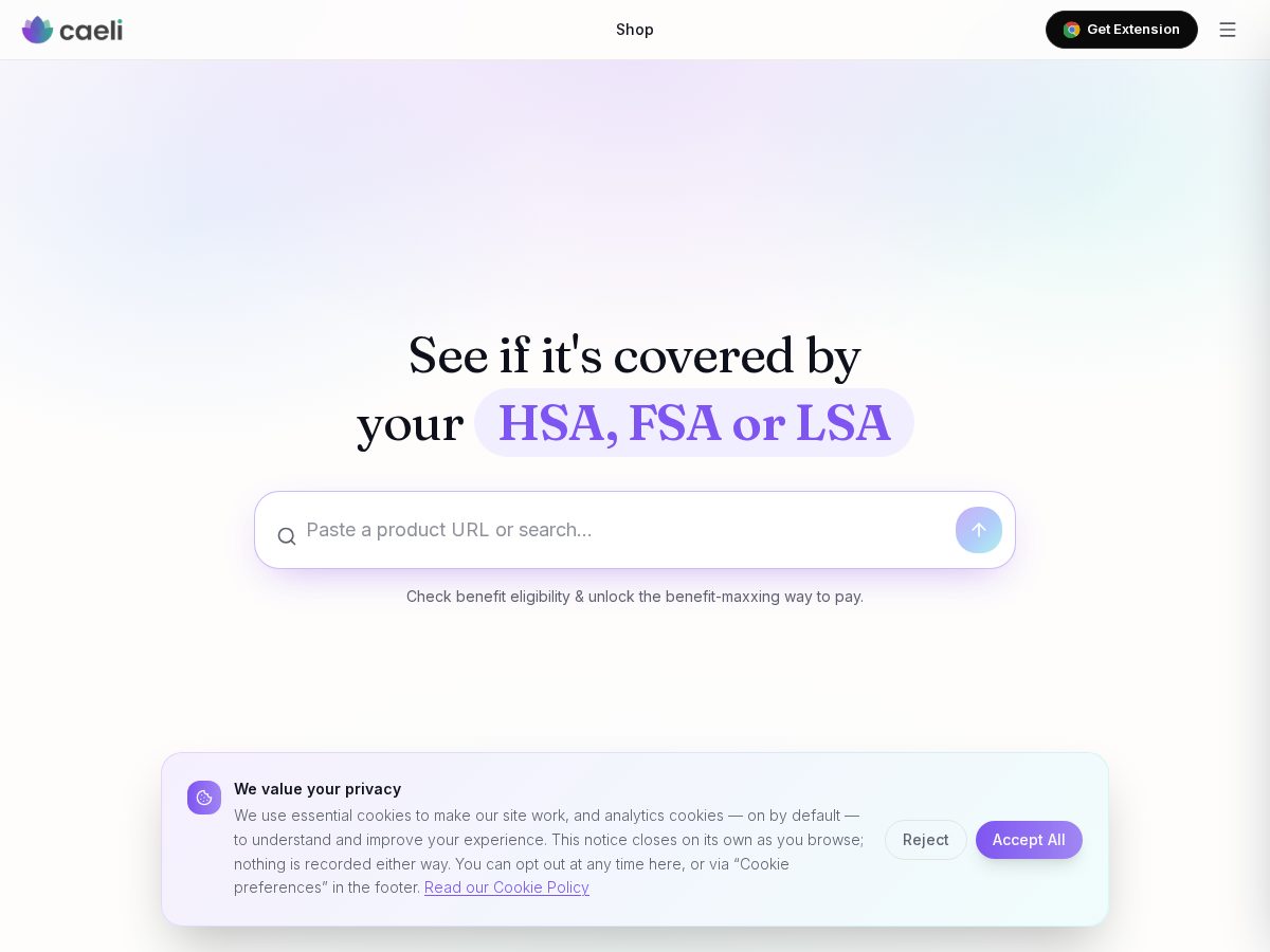 Landing-page snapshot of teamcaeli.com