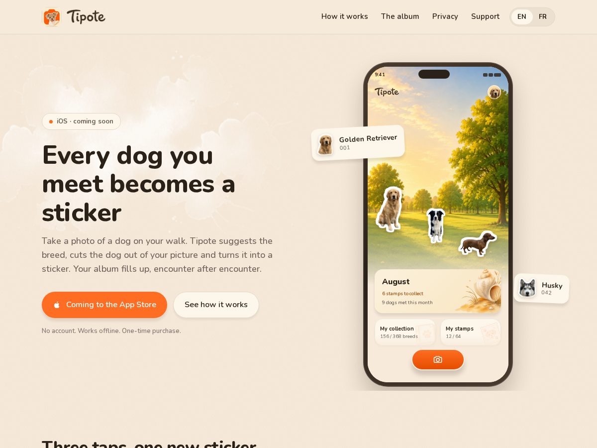 Landing-page snapshot of tipote.app