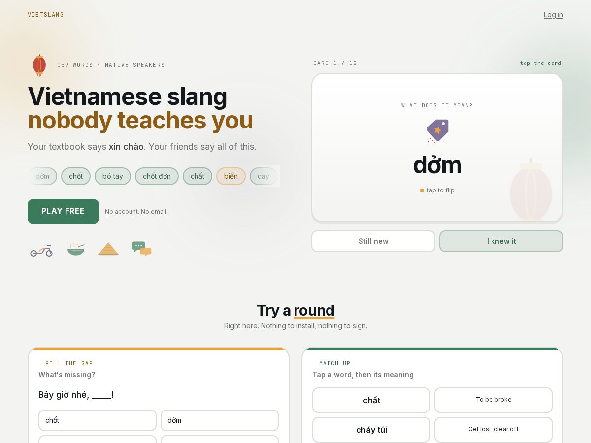 Landing-page snapshot of vietslang.com