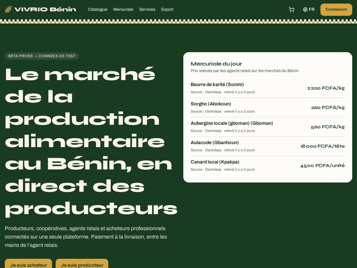 Landing-page snapshot of vivrio-africa.com