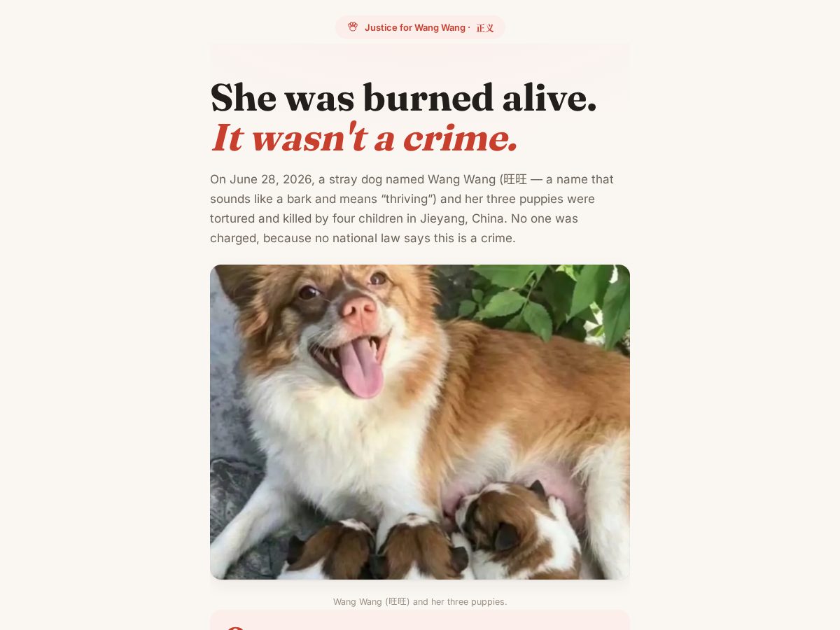 Landing-page snapshot of wang-wang-justice.org
