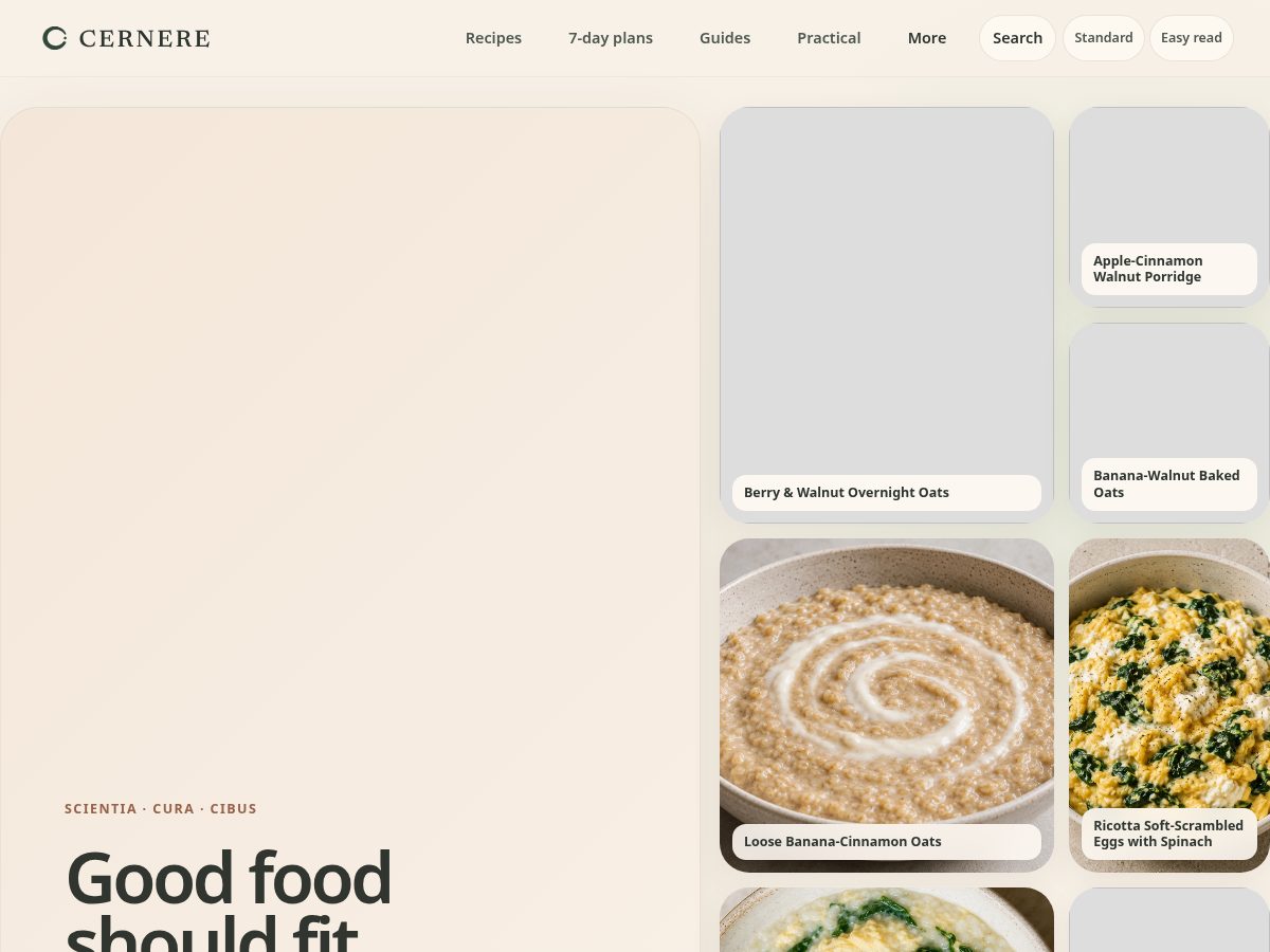 Landing-page snapshot of cernere.xyz