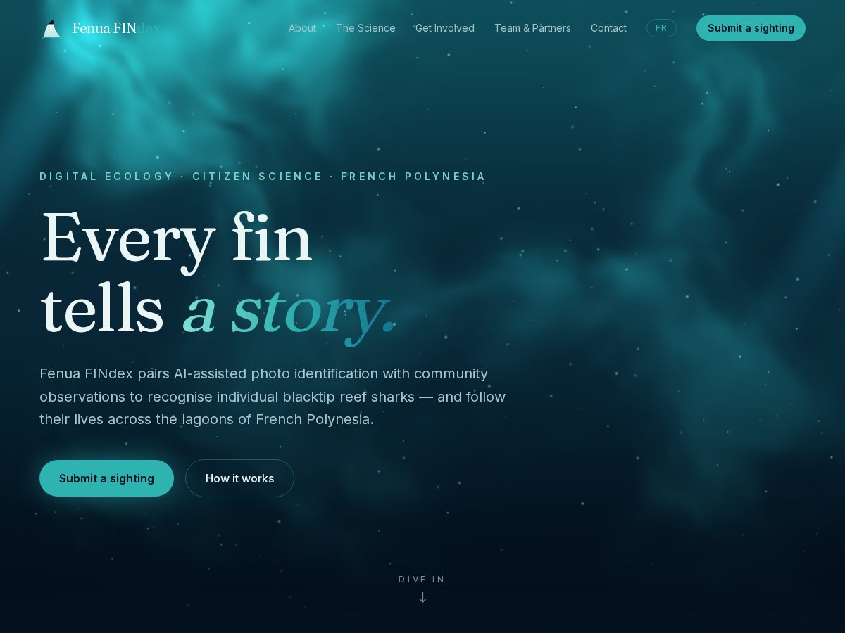 Landing-page snapshot of fenuafindex.com