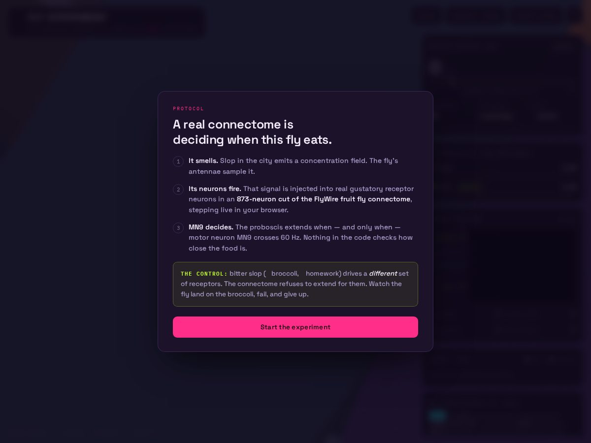 Landing-page snapshot of fruitfly.fun
