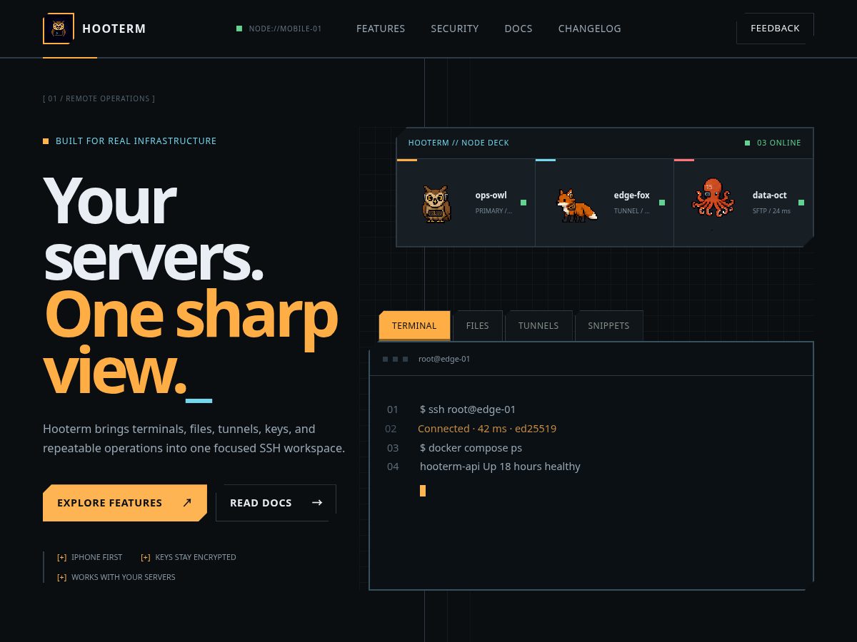 Landing-page snapshot of hooterm.com