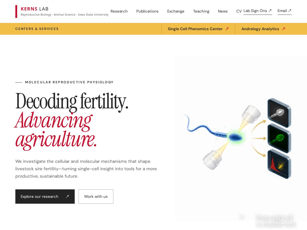 Landing-page snapshot of kernslab.com