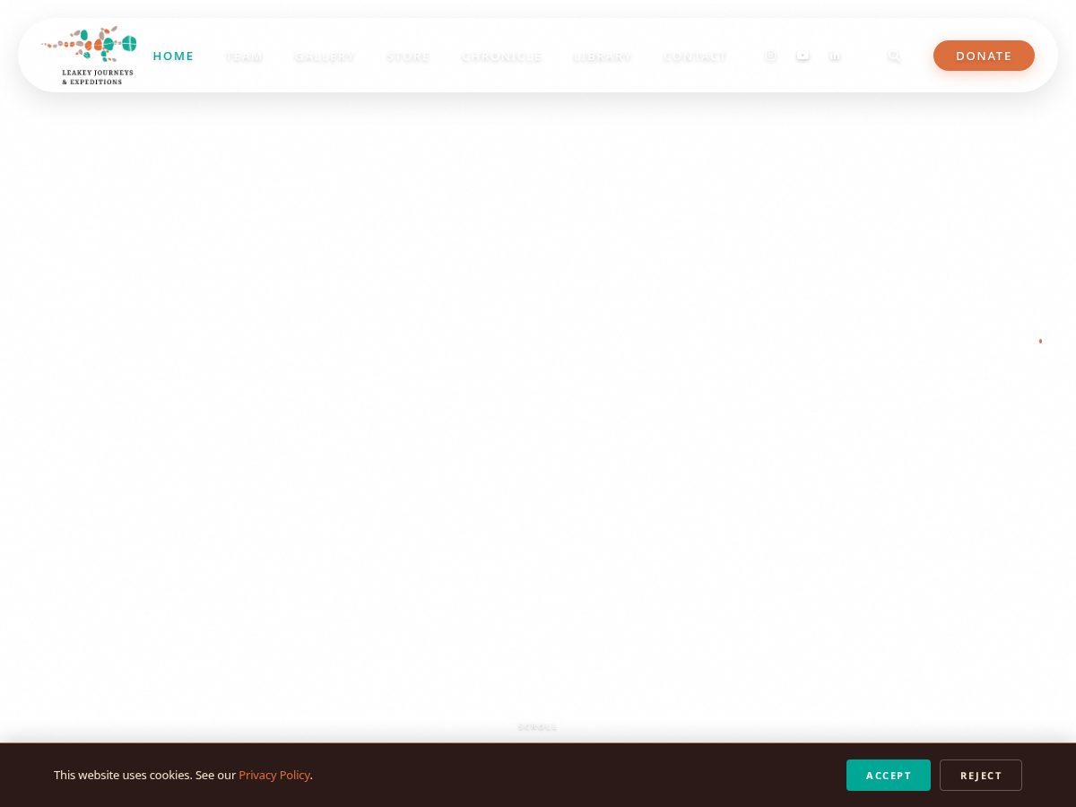 Landing-page snapshot of leakeyjourneys.com