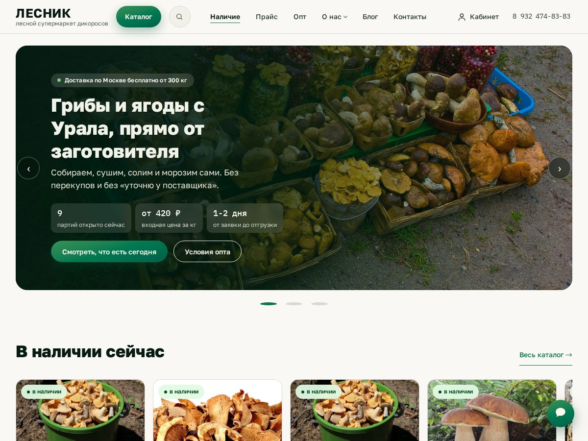 Landing-page snapshot of lesnik.store