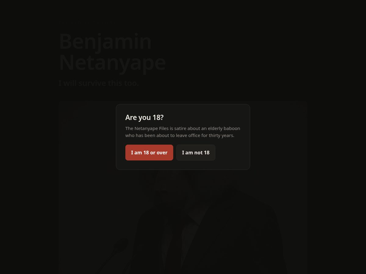 Landing-page snapshot of netanyape.fun