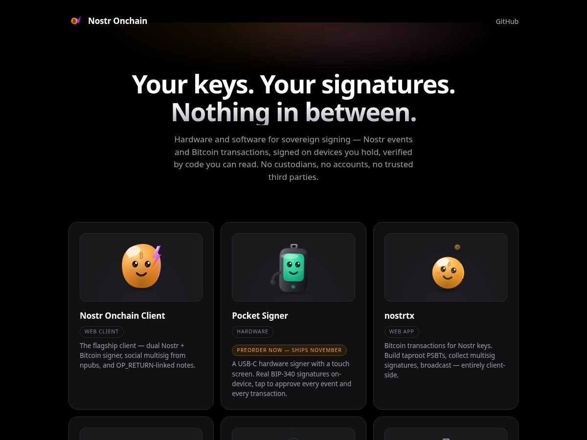 Landing-page snapshot of nostronchain.com