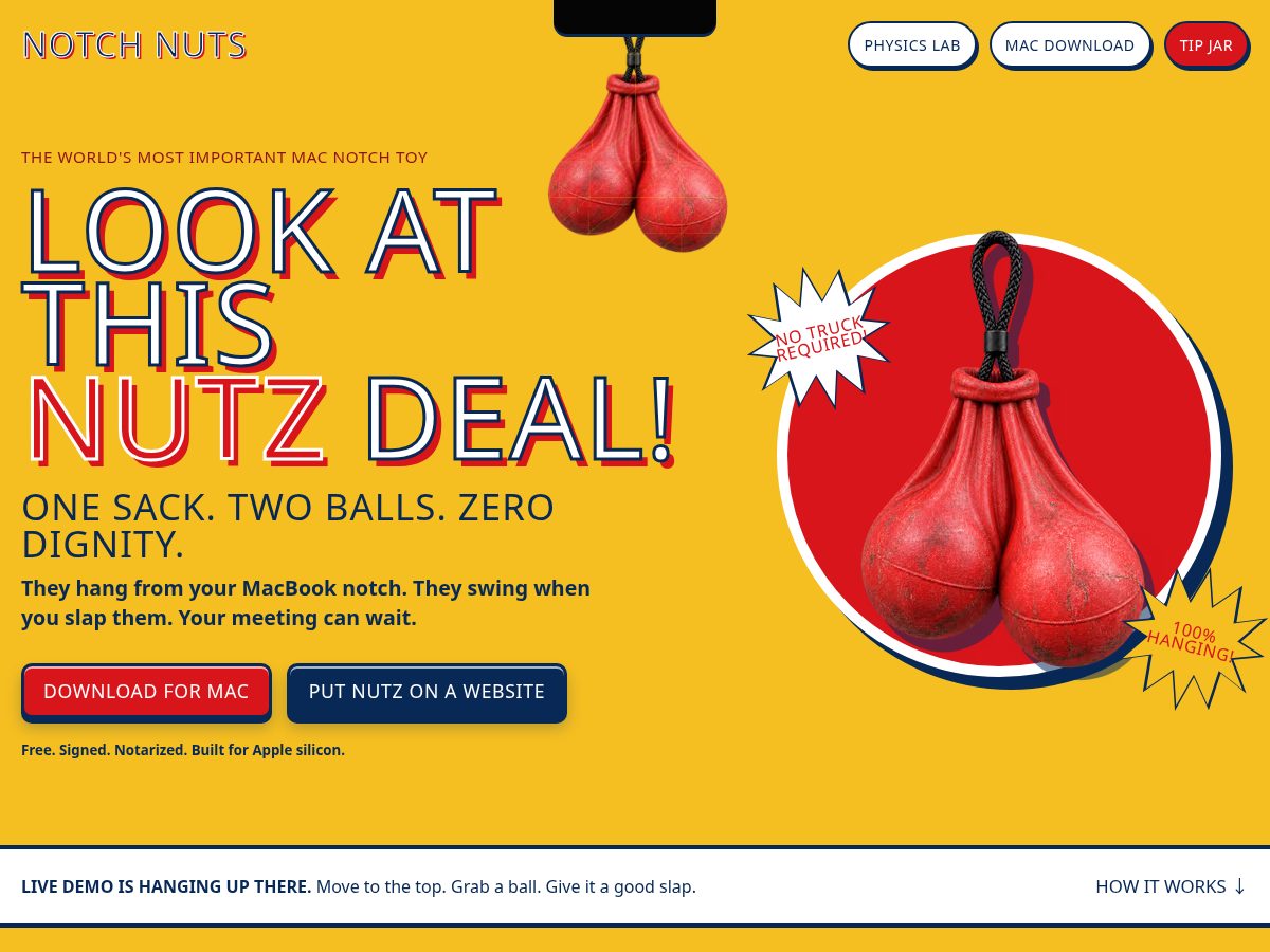 Landing-page snapshot of notchnuts.com