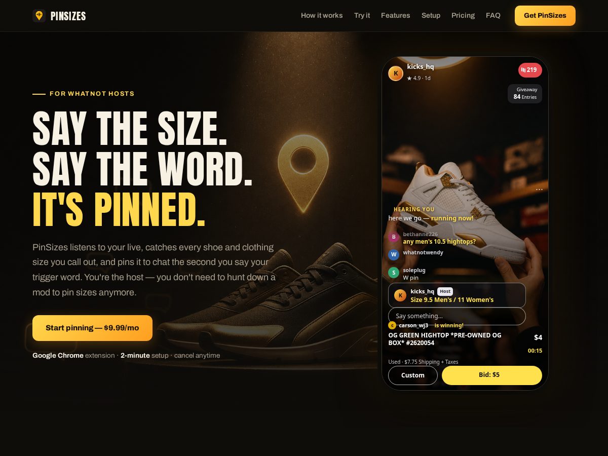 Landing-page snapshot of pinsizes.com