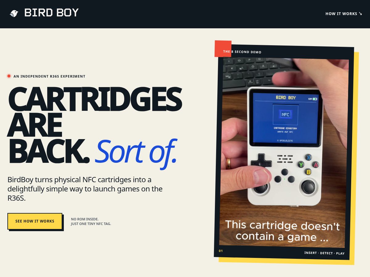 Landing-page snapshot of playbirdboy.com