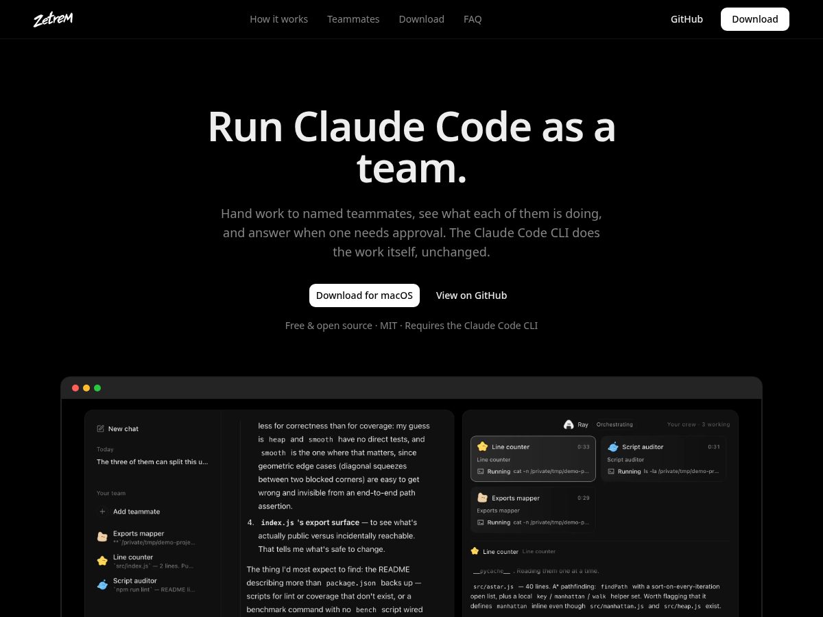 Landing-page snapshot of zetrem.org