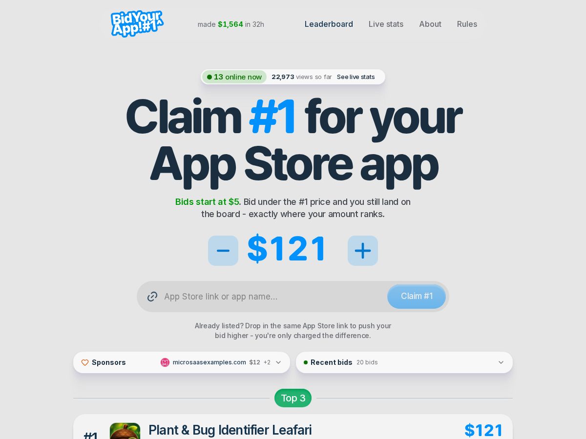 Landing-page snapshot of bidyourapp.com