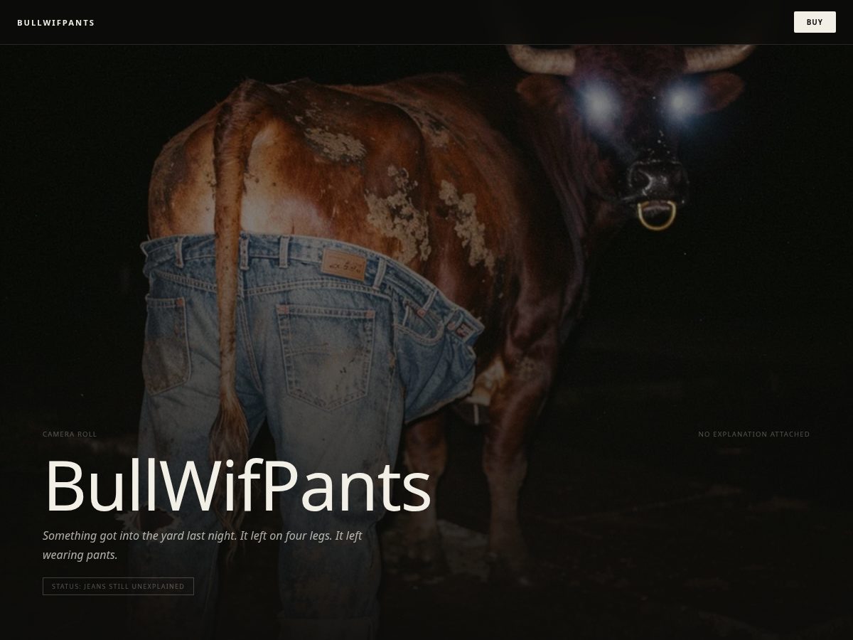Landing-page snapshot of bullwifpants.lol