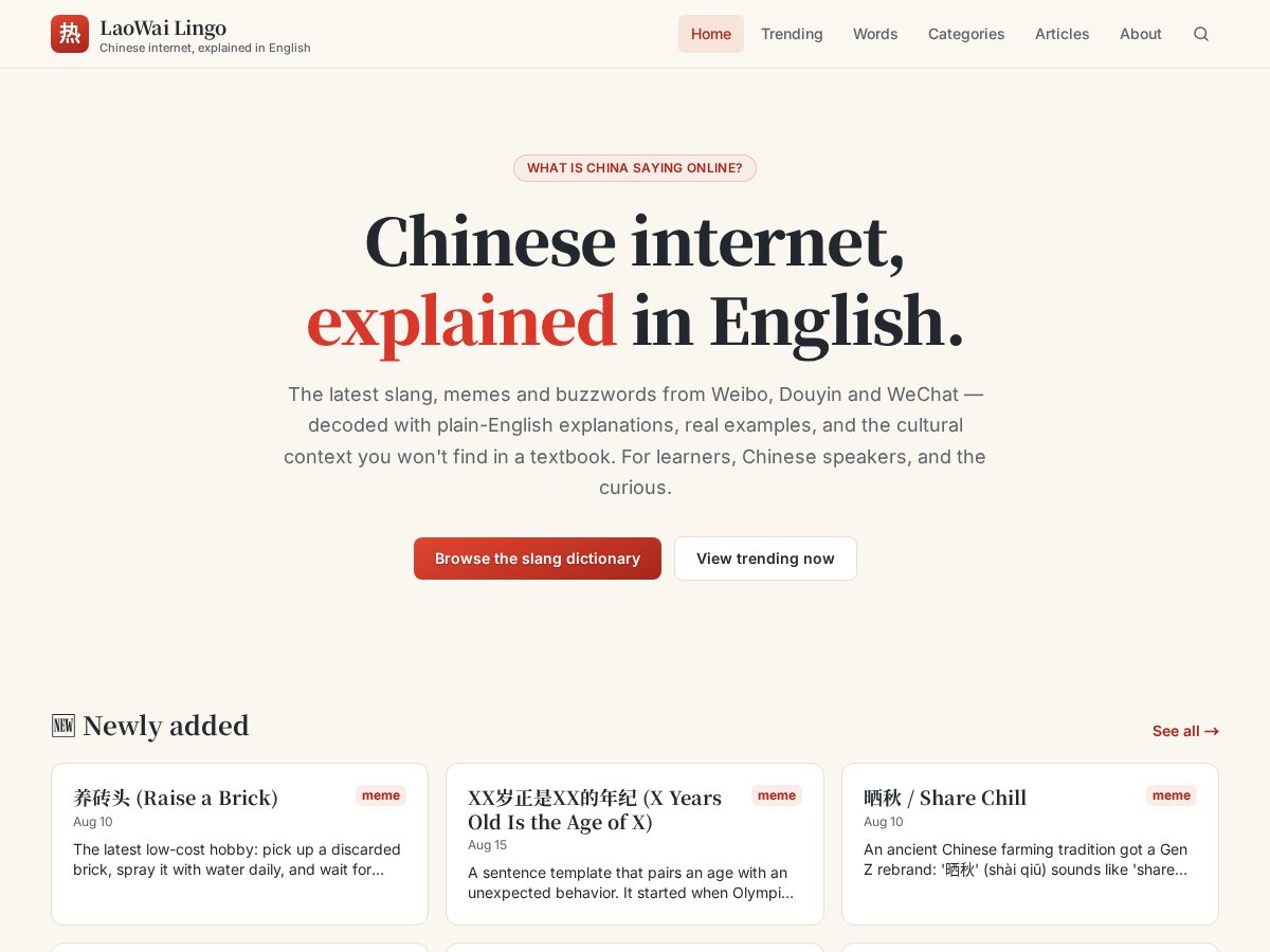 Landing-page snapshot of cnslang.com