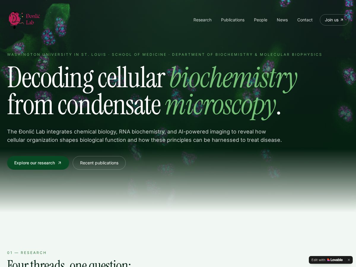 Landing-page snapshot of donliclab.com