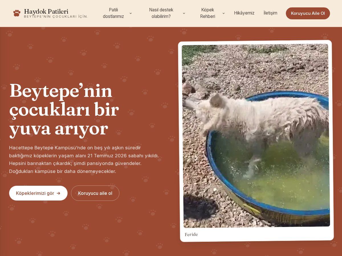 Landing-page snapshot of haydokpatileri.com
