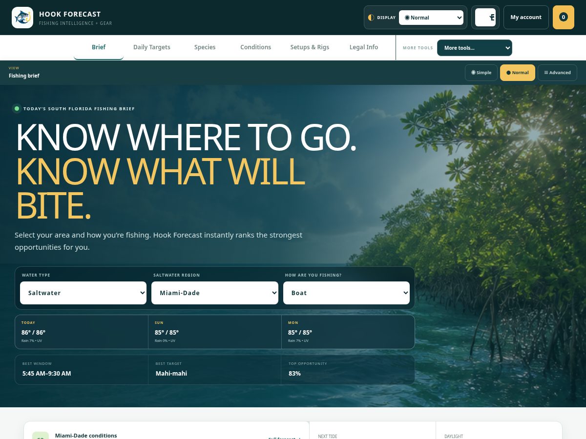 Landing-page snapshot of hookforecast.com