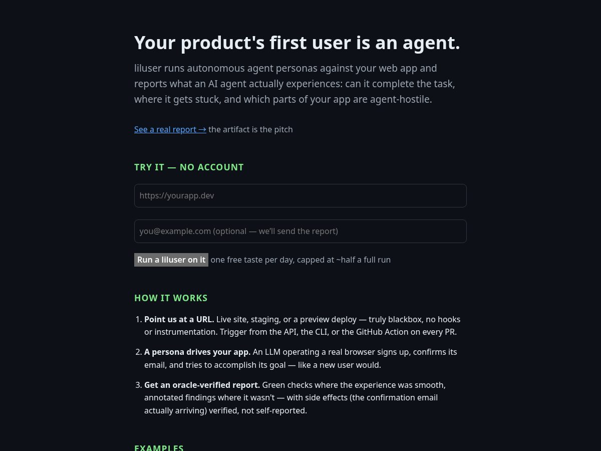 Landing-page snapshot of liluser.dev