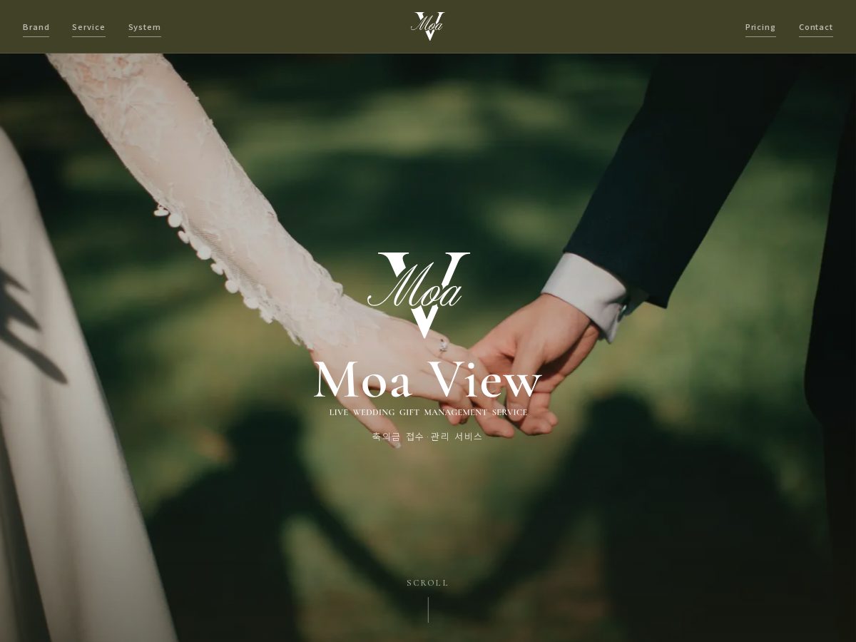 Landing-page snapshot of moa-view.com