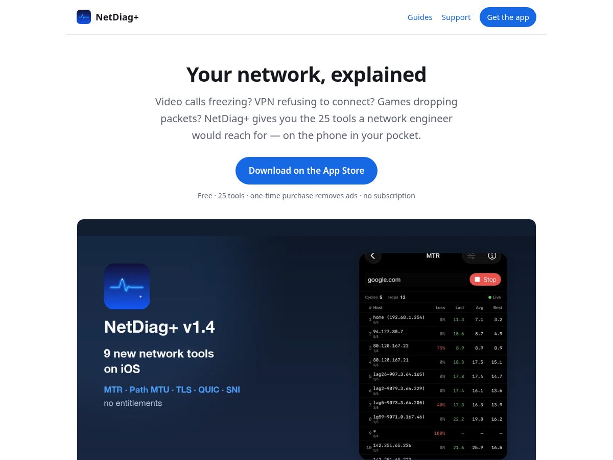 Landing-page snapshot of netdiag.online