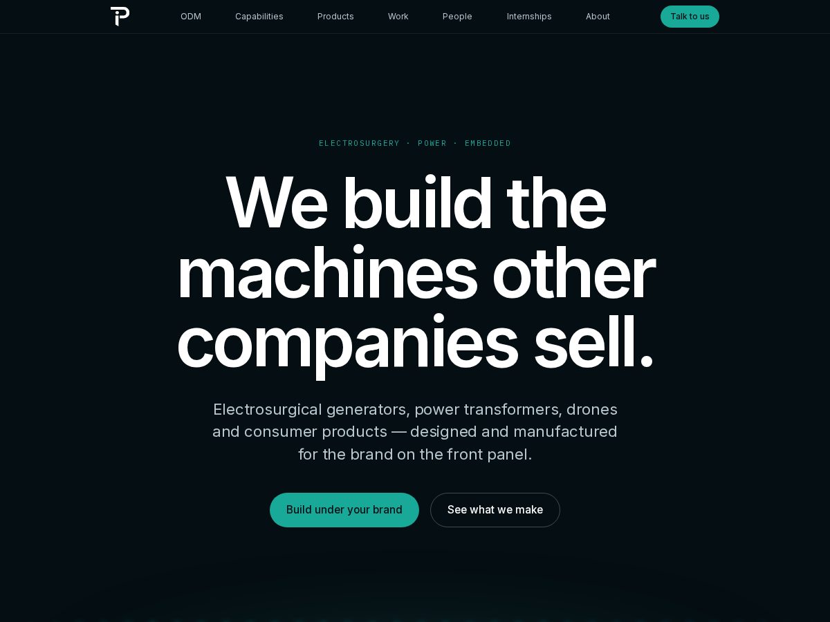 Landing-page snapshot of panaceaintec.com
