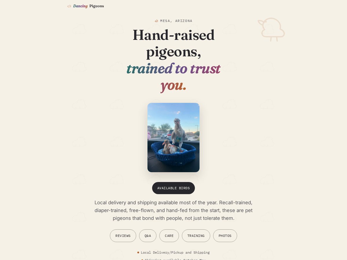 Landing-page snapshot of petpigeons.com