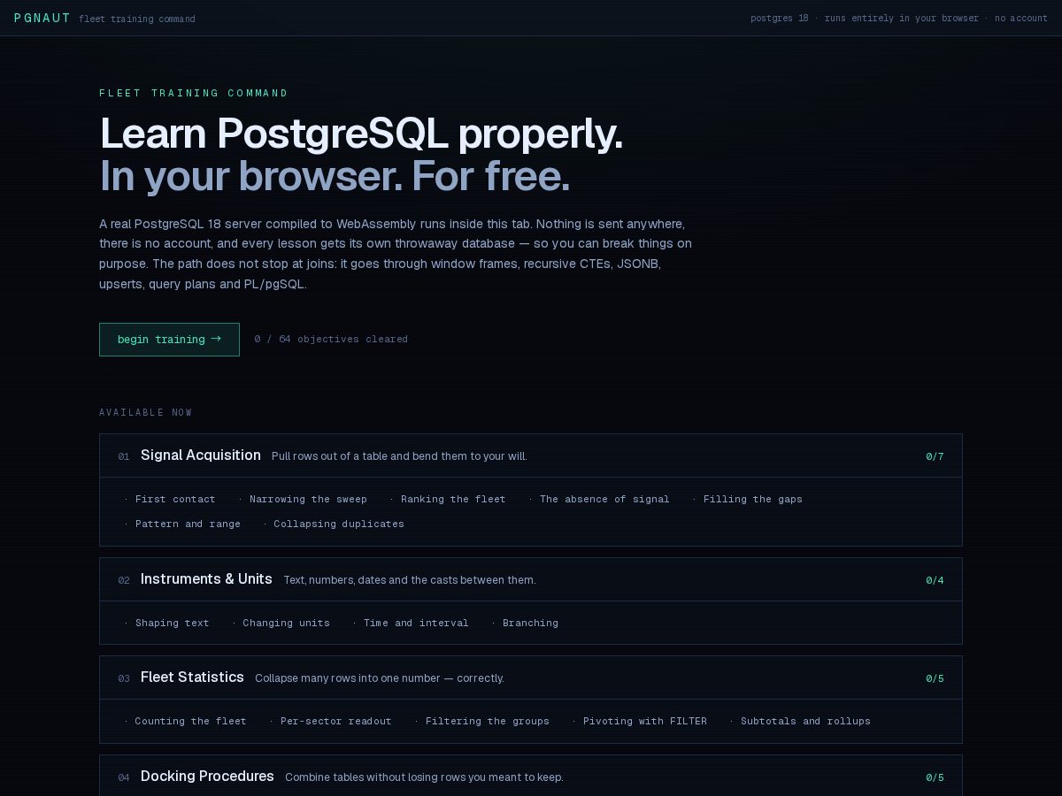 Landing-page snapshot of pgnaut.com