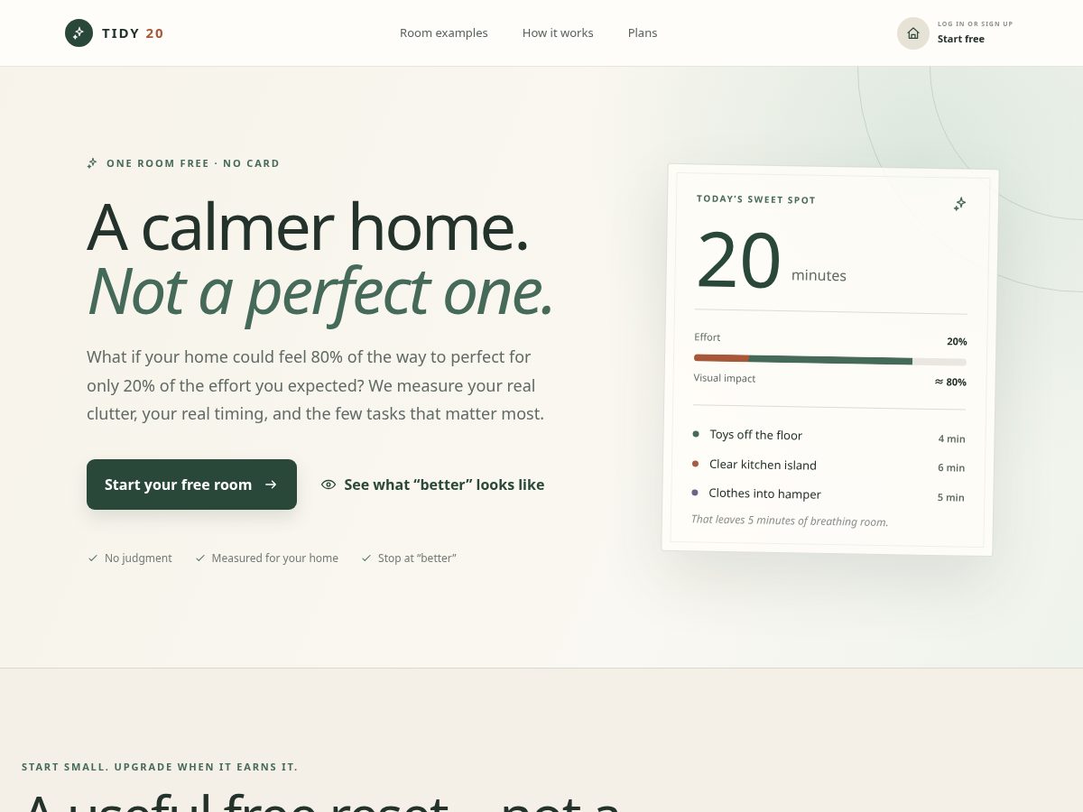 Landing-page snapshot of tidy20.com
