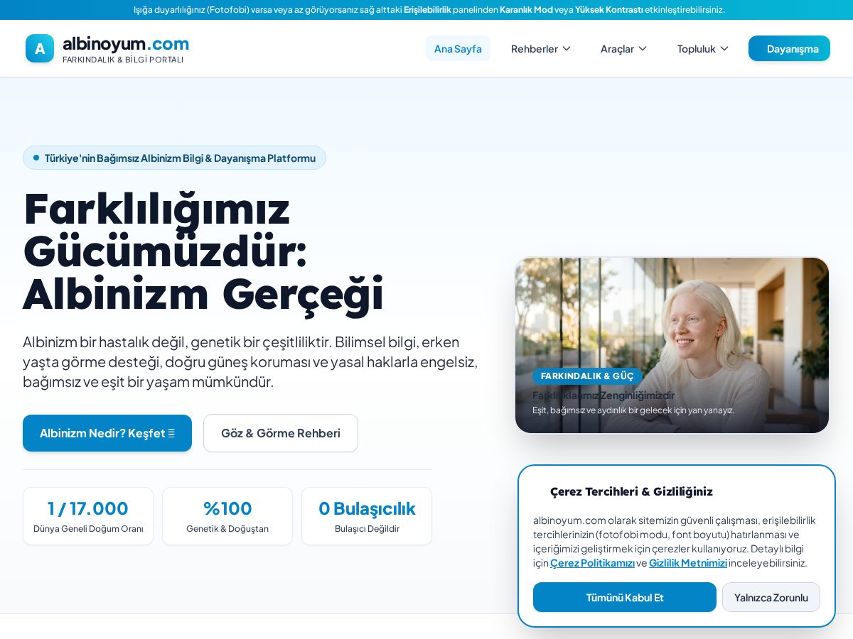 Landing-page snapshot of albinoyum.com