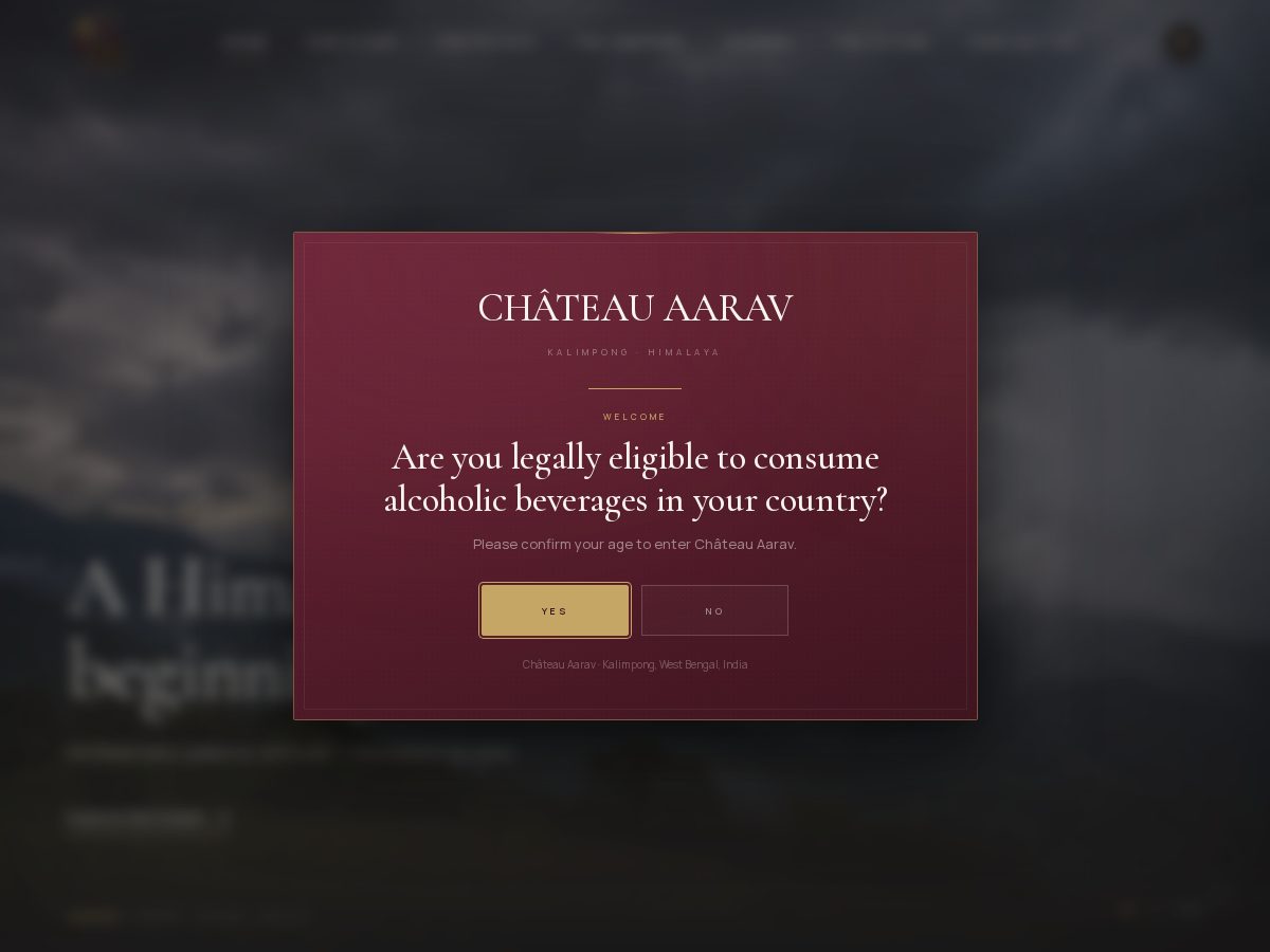Landing-page snapshot of chateauaarav.com