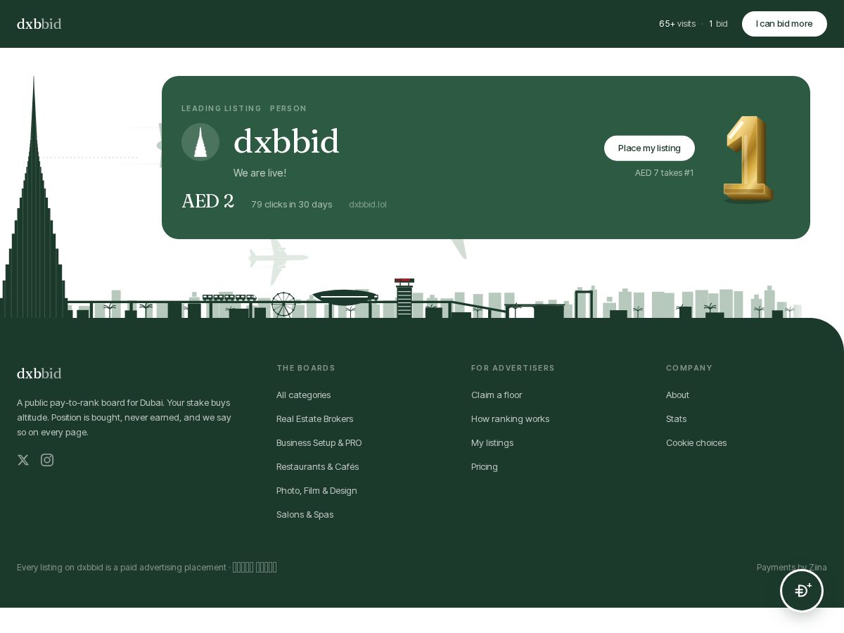 Landing-page snapshot of dxbbid.lol