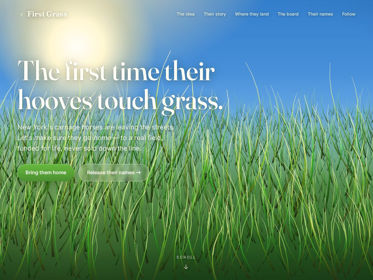 Landing-page snapshot of firstgrass.org