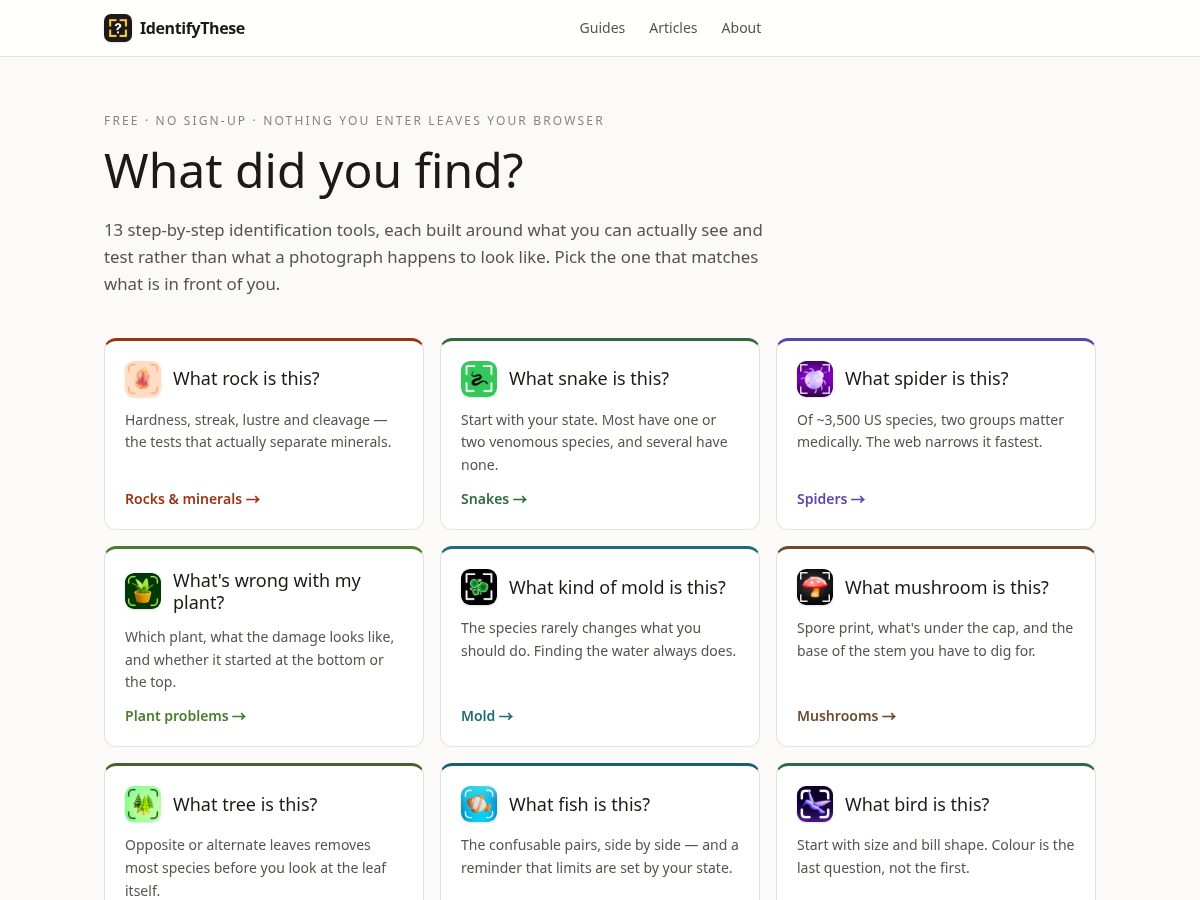 Landing-page snapshot of identifythese.com