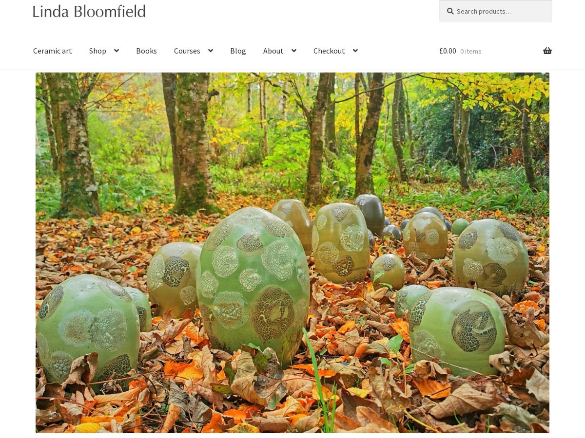 Landing-page snapshot of lindabloomfield.pro