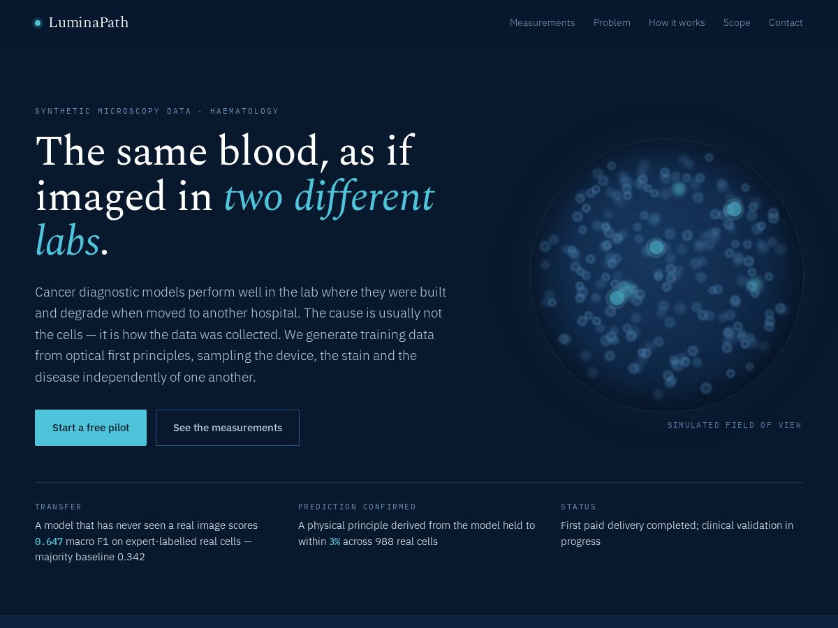 Landing-page snapshot of luminapath.health