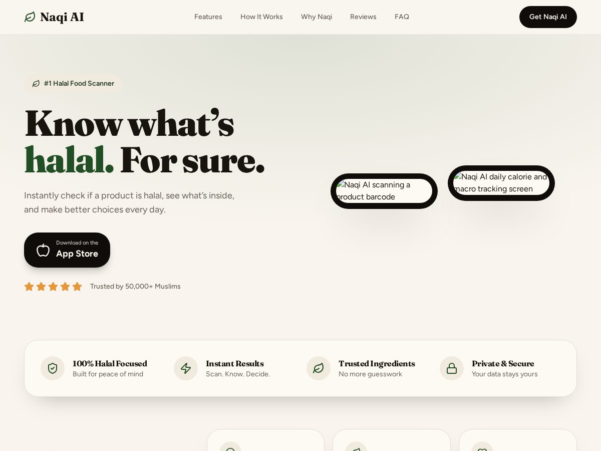 Landing-page snapshot of naqiaiapp.com