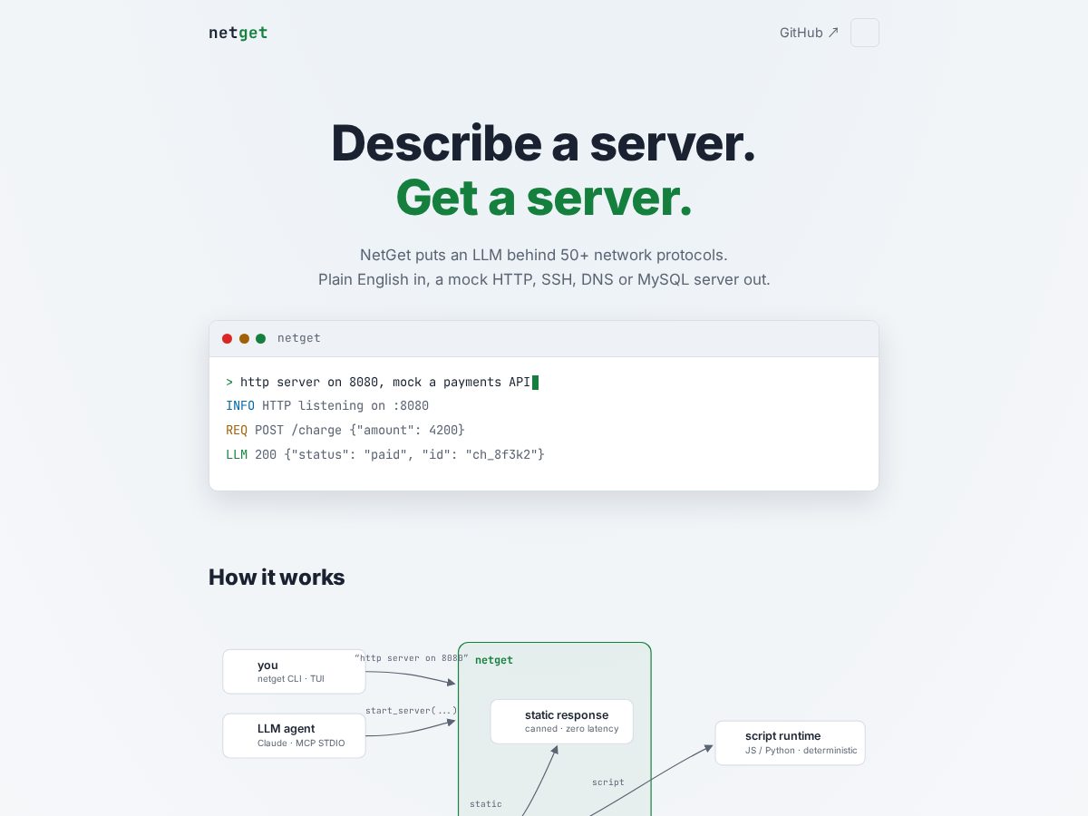 Landing-page snapshot of netget.net