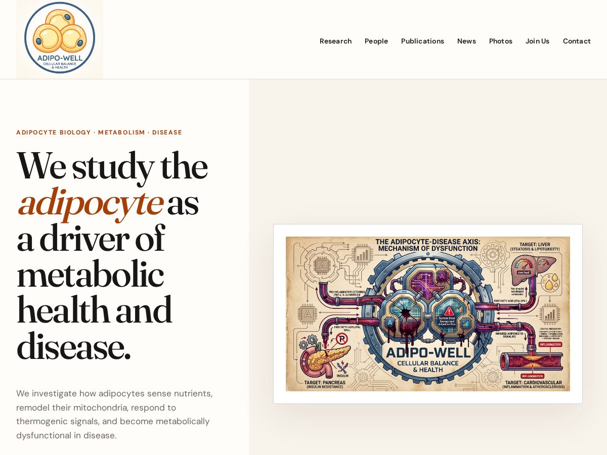 Landing-page snapshot of rabiee-lab.org